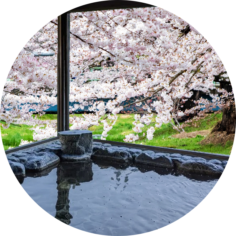 春の画像