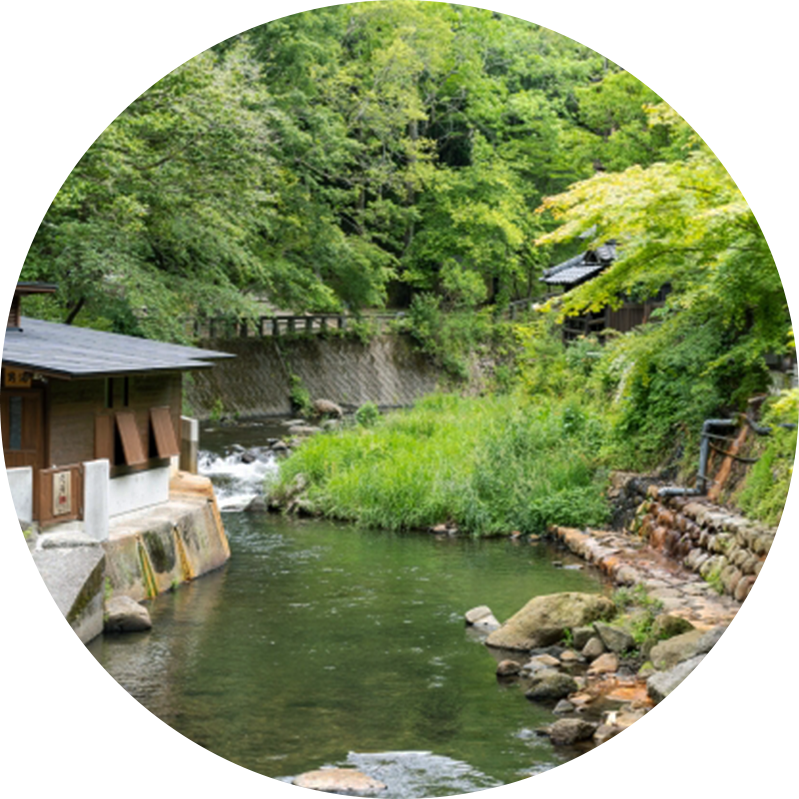 夏の画像